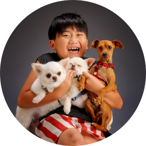 ペットフォト